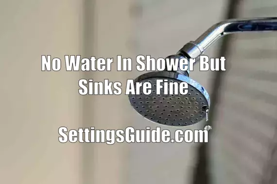 No Water In Shower But Sinks Are Fine