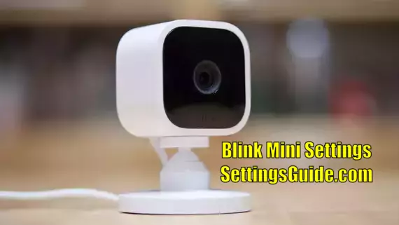 Blink Mini Sensitivity Settings